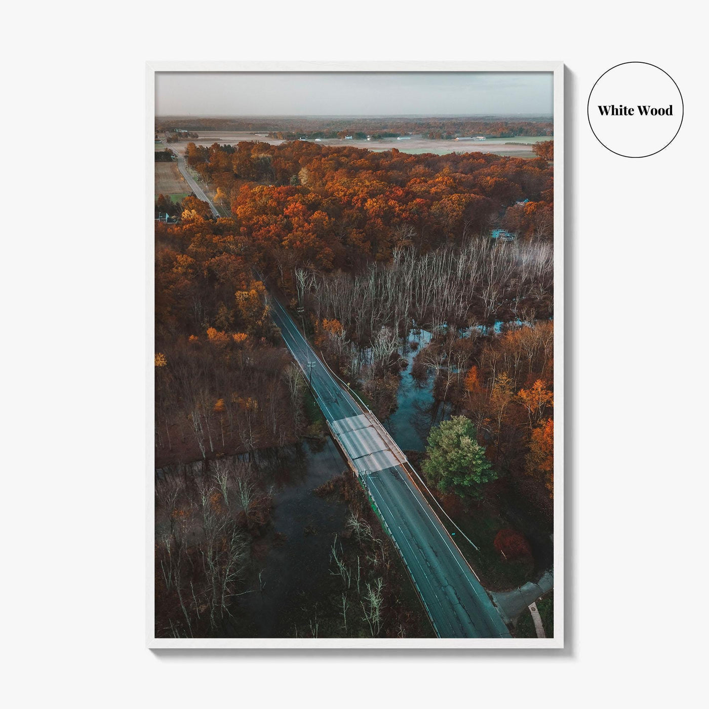 Princeton Fine Art Photo Print, Plainsboro, Cranbury, New Jersey, Aerial, Wall Decor, Poster