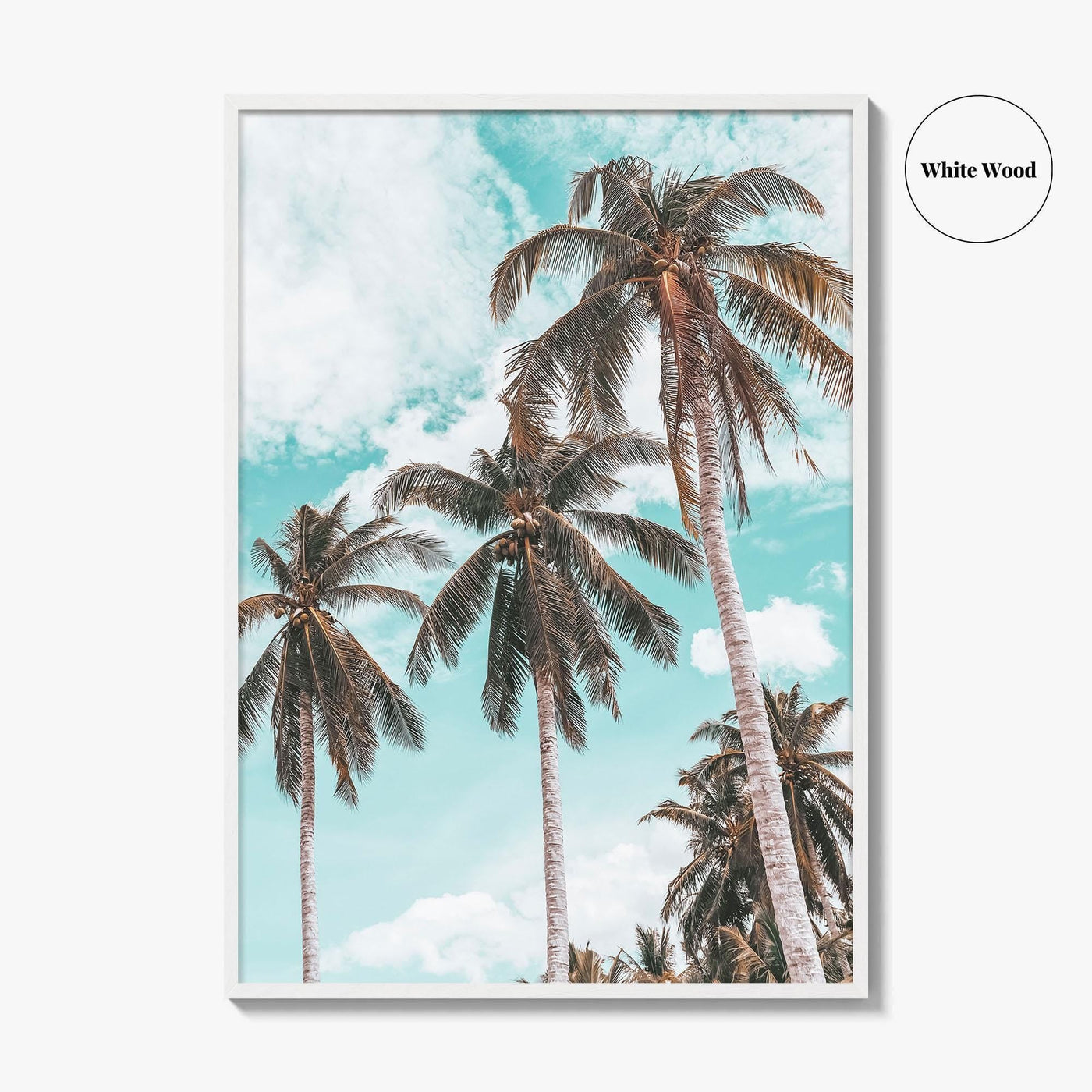 Palm Springs Fine Art Photo Print, California Poster, Coachella Valley, USA