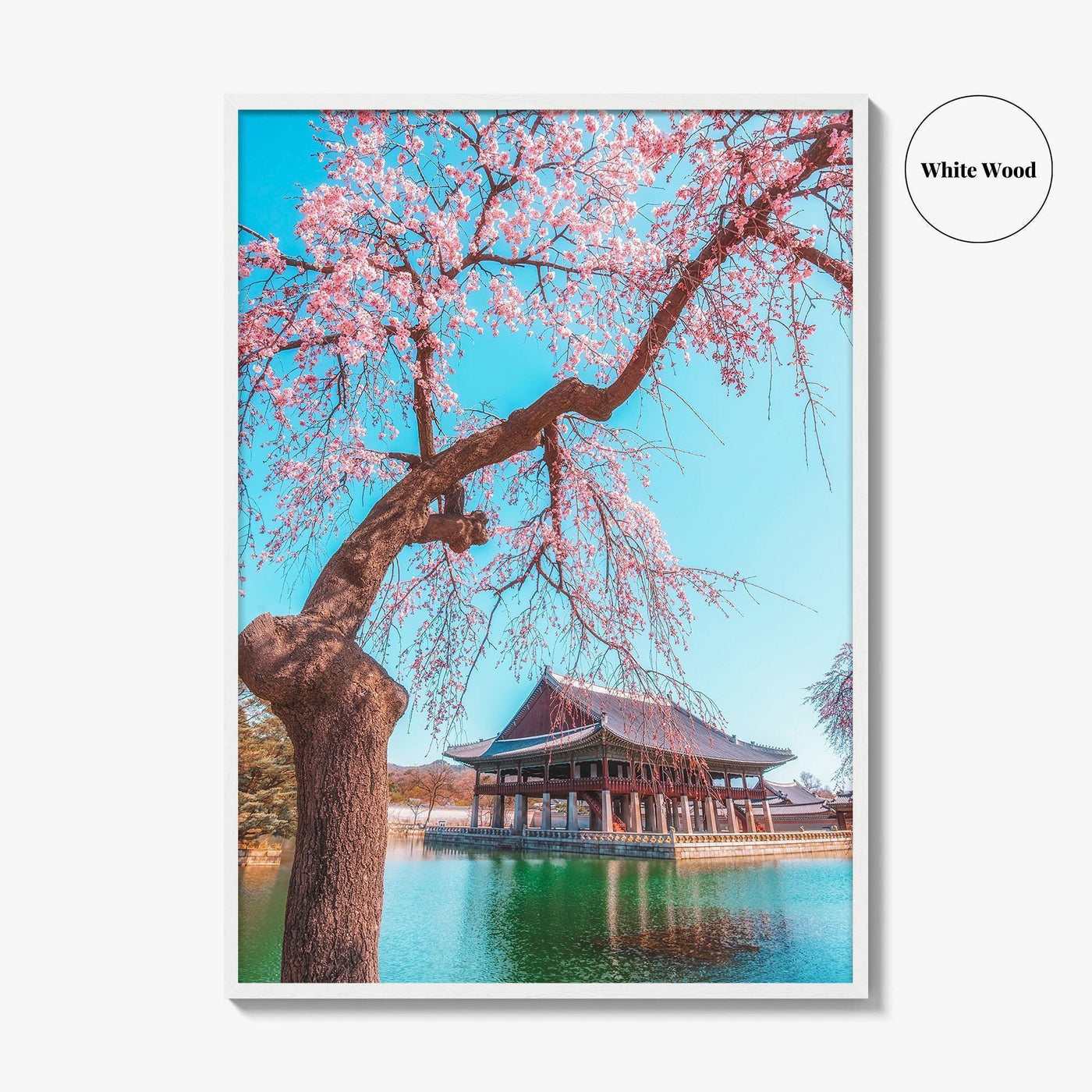 Seoul Fine Art Photo Print, Gyeongbokgung Palace, Cherry Blossom, South Korea Wall Decor Poster