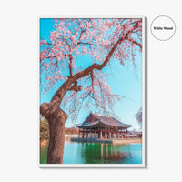 Seoul Fine Art Photo Print, Gyeongbokgung Palace, Cherry Blossom, South Korea Wall Decor Poster
