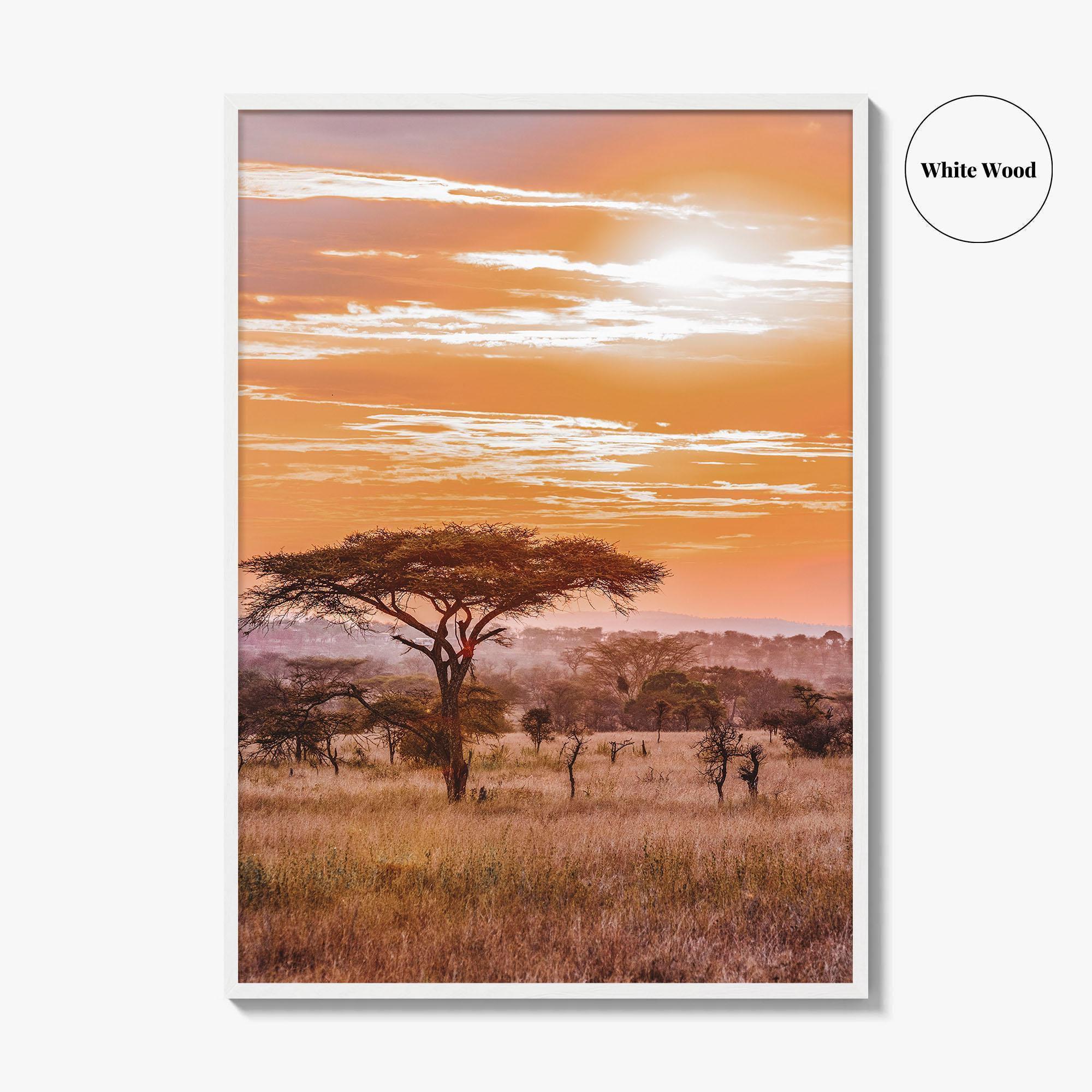 Serengeti Tanzania Fine Art Photo Print, Africa Wall Decor Poster, Safari Savanna, Acacia Trees
