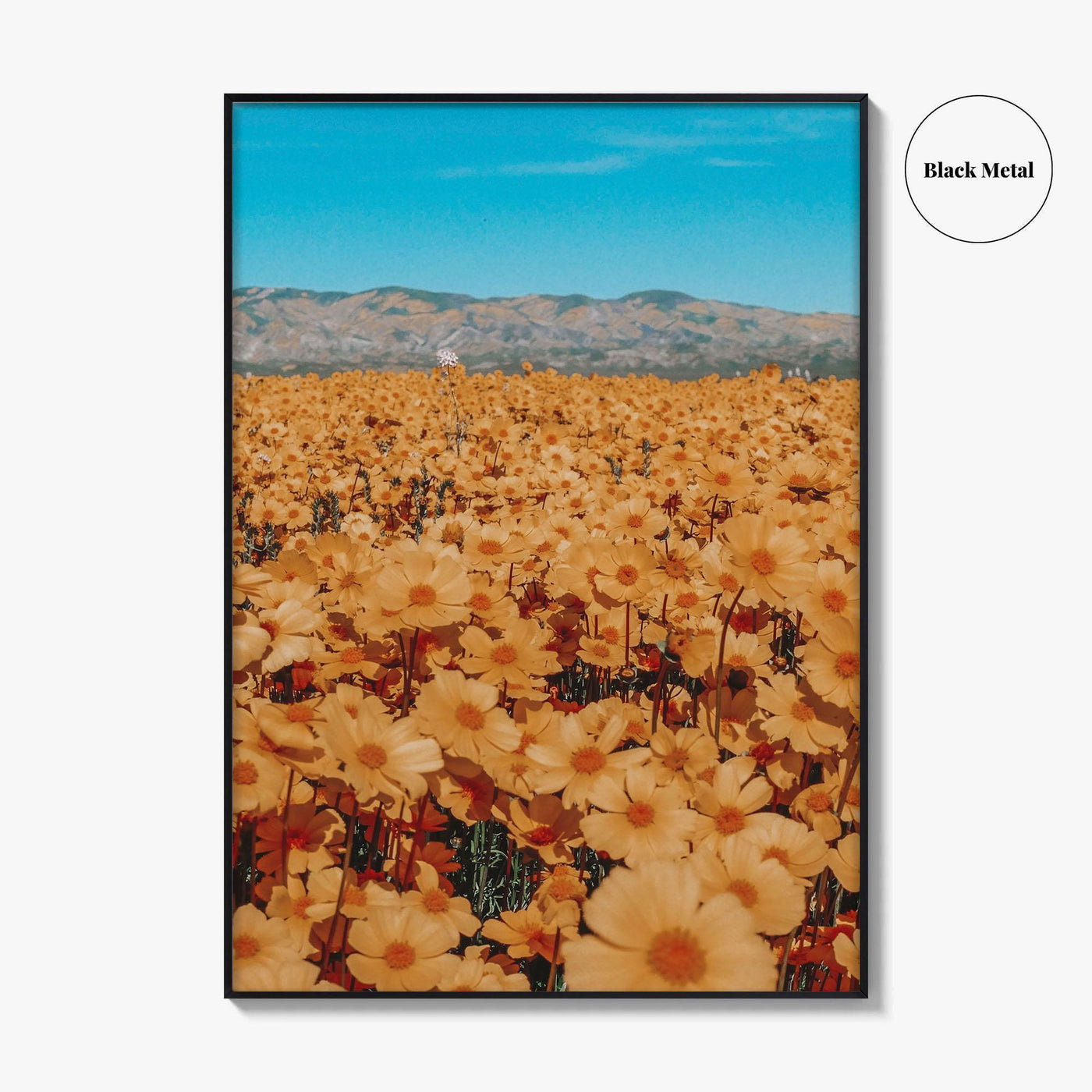 San Luis Obispo Fine Art Photo Print, Carrizo Plain National Monument, California USA Poster