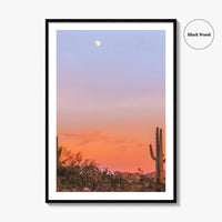 Tucson Fine Art Photo Print, Arizona Wall Decor, Saguaro National Park, Sonoran Desert, USA
