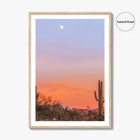 Tucson Fine Art Photo Print, Arizona Wall Decor, Saguaro National Park, Sonoran Desert, USA