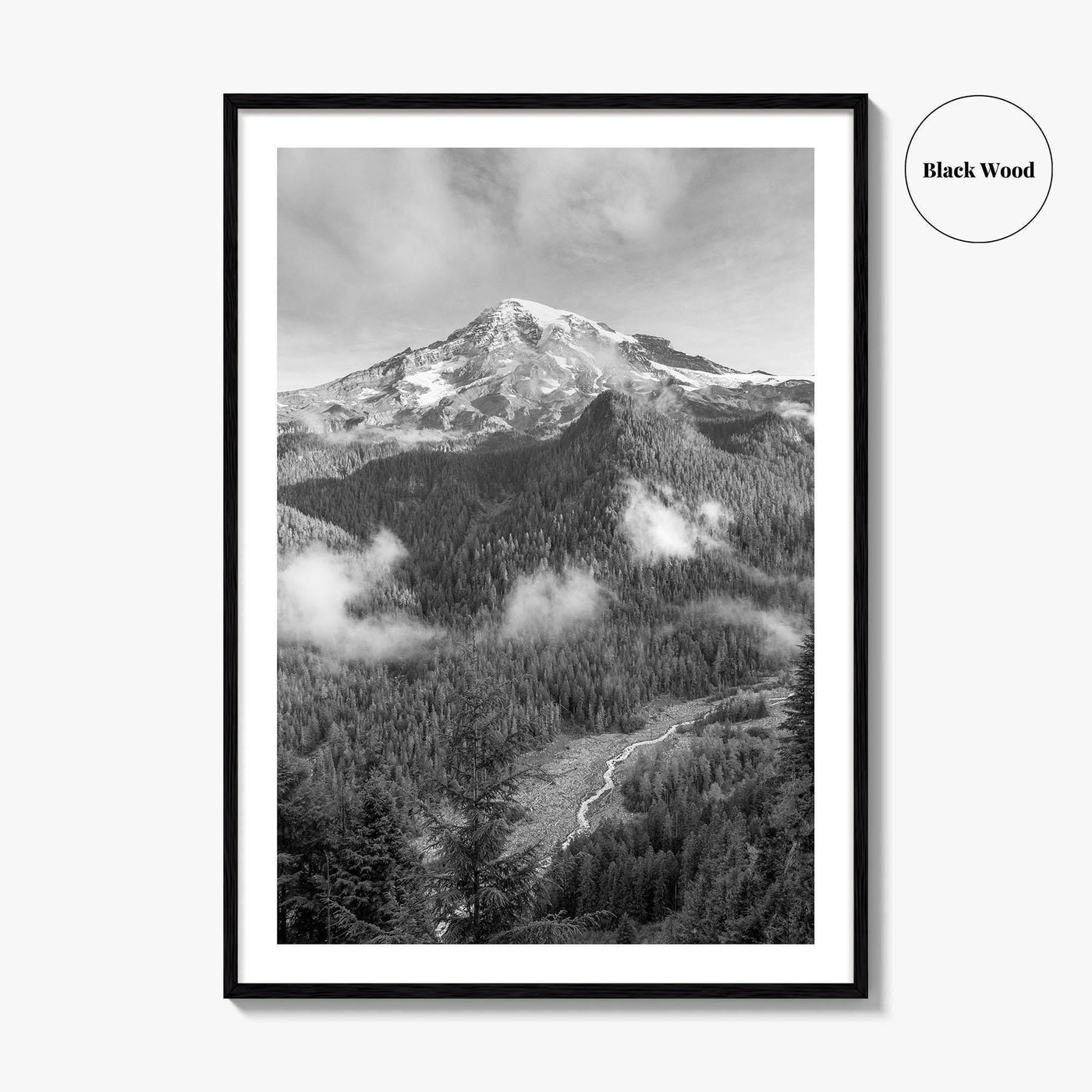Mount Rainier Black and White Fine Art Photo Print, Washington USA, Nisqually River Poster