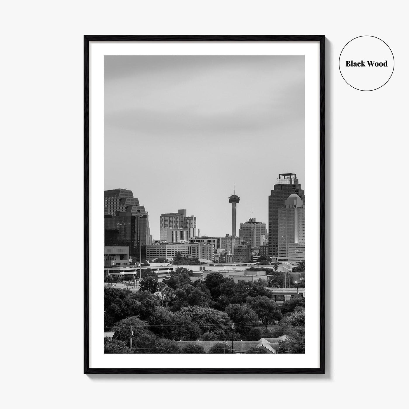 San Antonio Skyline Black and White Fine Art Photo Print, Texas, USA Wall Poster