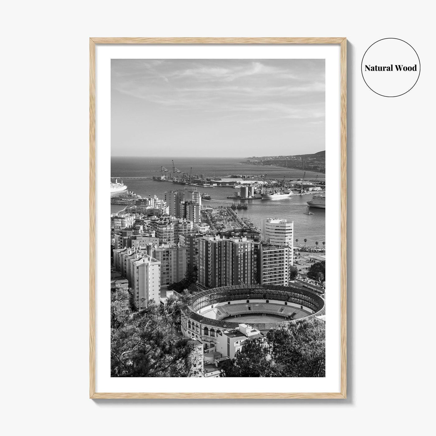 Malaga Skyline Black and White Fine Art Photo Print, Wall Decor, Andalusia Spain Poster