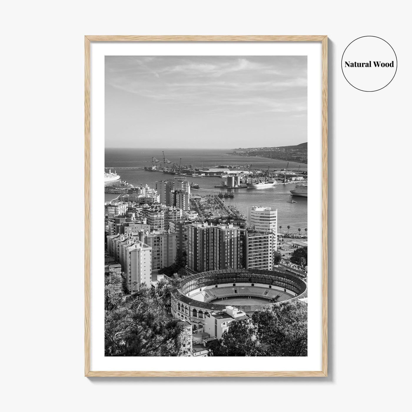 Malaga Skyline Black and White Fine Art Photo Print, Wall Decor, Andalusia Spain Poster