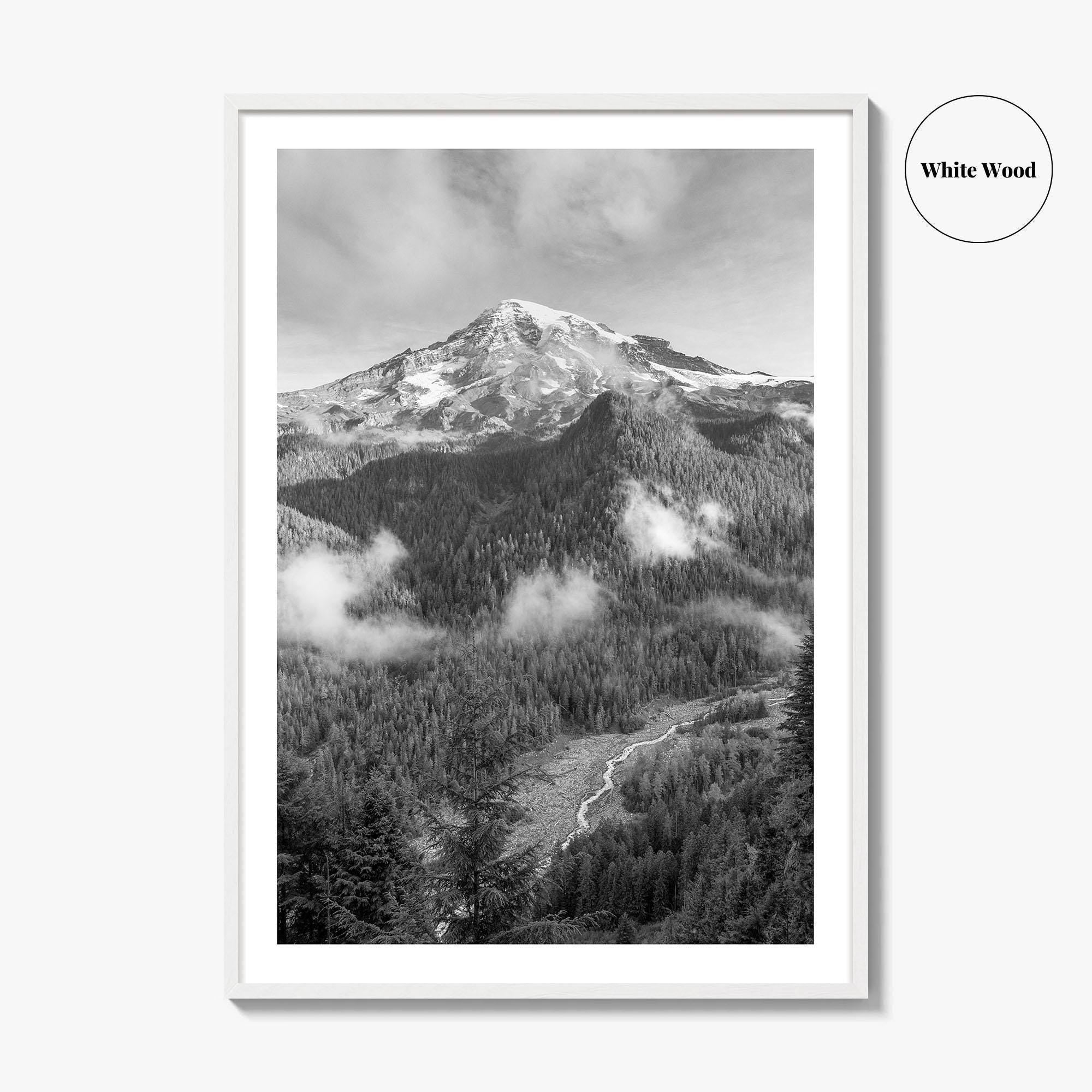 Mount Rainier Black and White Fine Art Photo Print, Washington USA, Nisqually River Poster