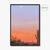 Tucson Fine Art Photo Print, Arizona Wall Decor, Saguaro National Park, Sonoran Desert, USA