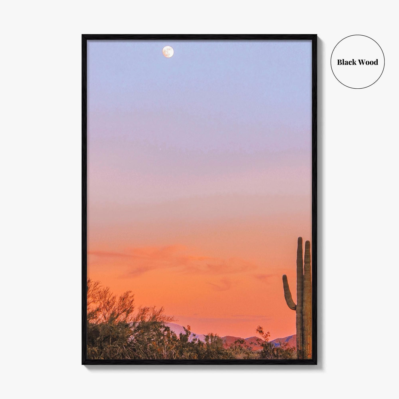 Tucson Fine Art Photo Print, Arizona Wall Decor, Saguaro National Park, Sonoran Desert, USA