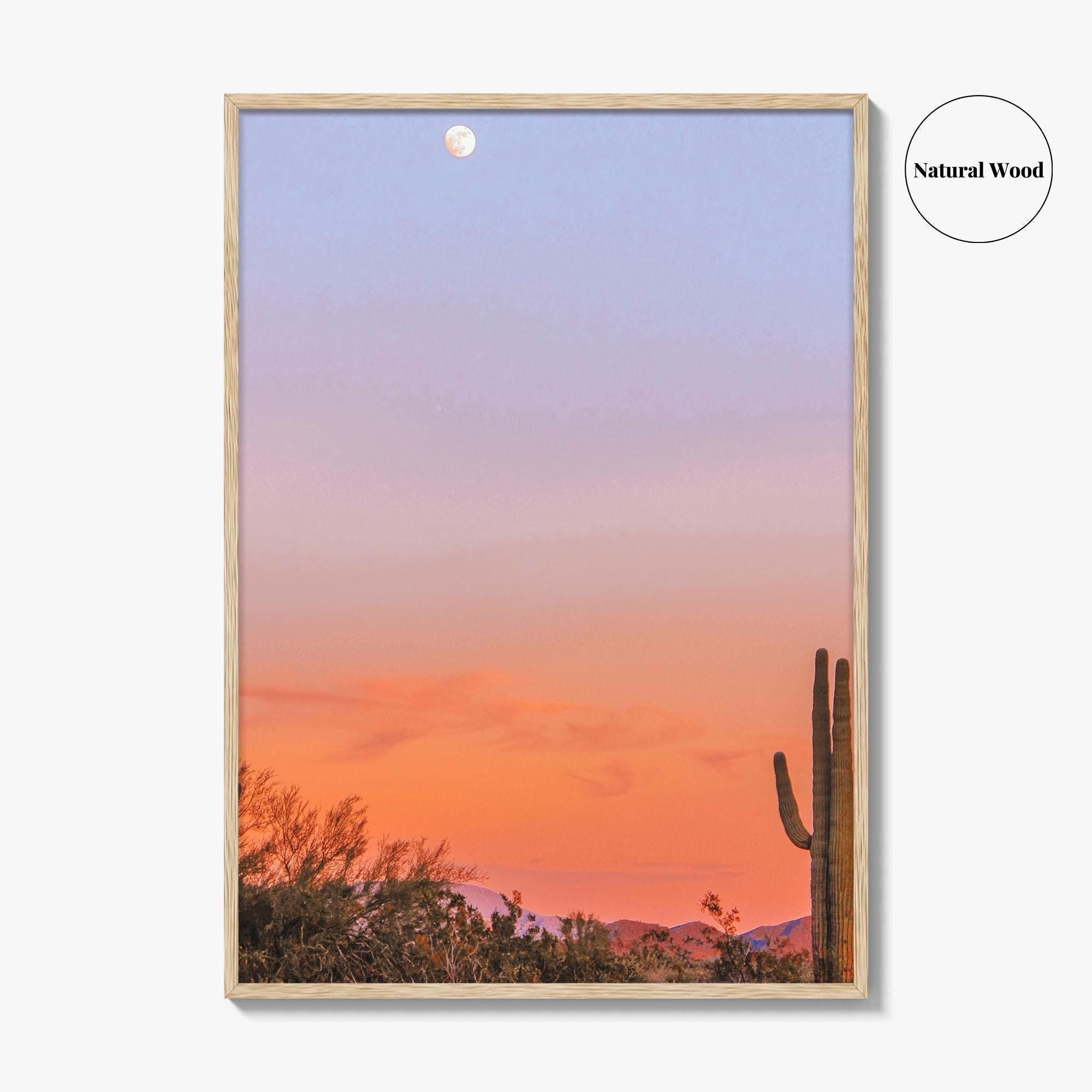 Tucson Fine Art Photo Print, Arizona Wall Decor, Saguaro National Park, Sonoran Desert, USA