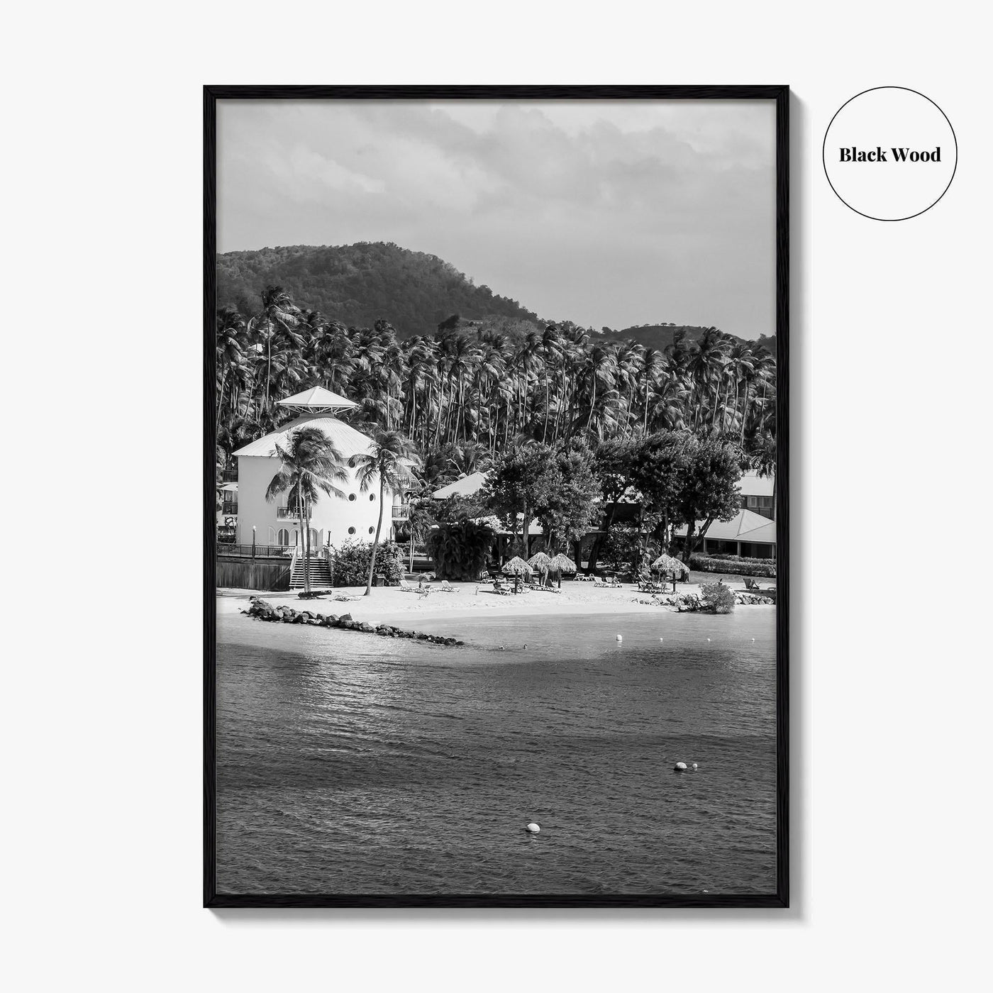 Martinique Black and White Fine Art Photo Print, Caribbean French Antilles Poster