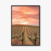 Sonoma Fine Art Photo Print, Napa Valley Wine Country, California Poster, Hot Air Balloon