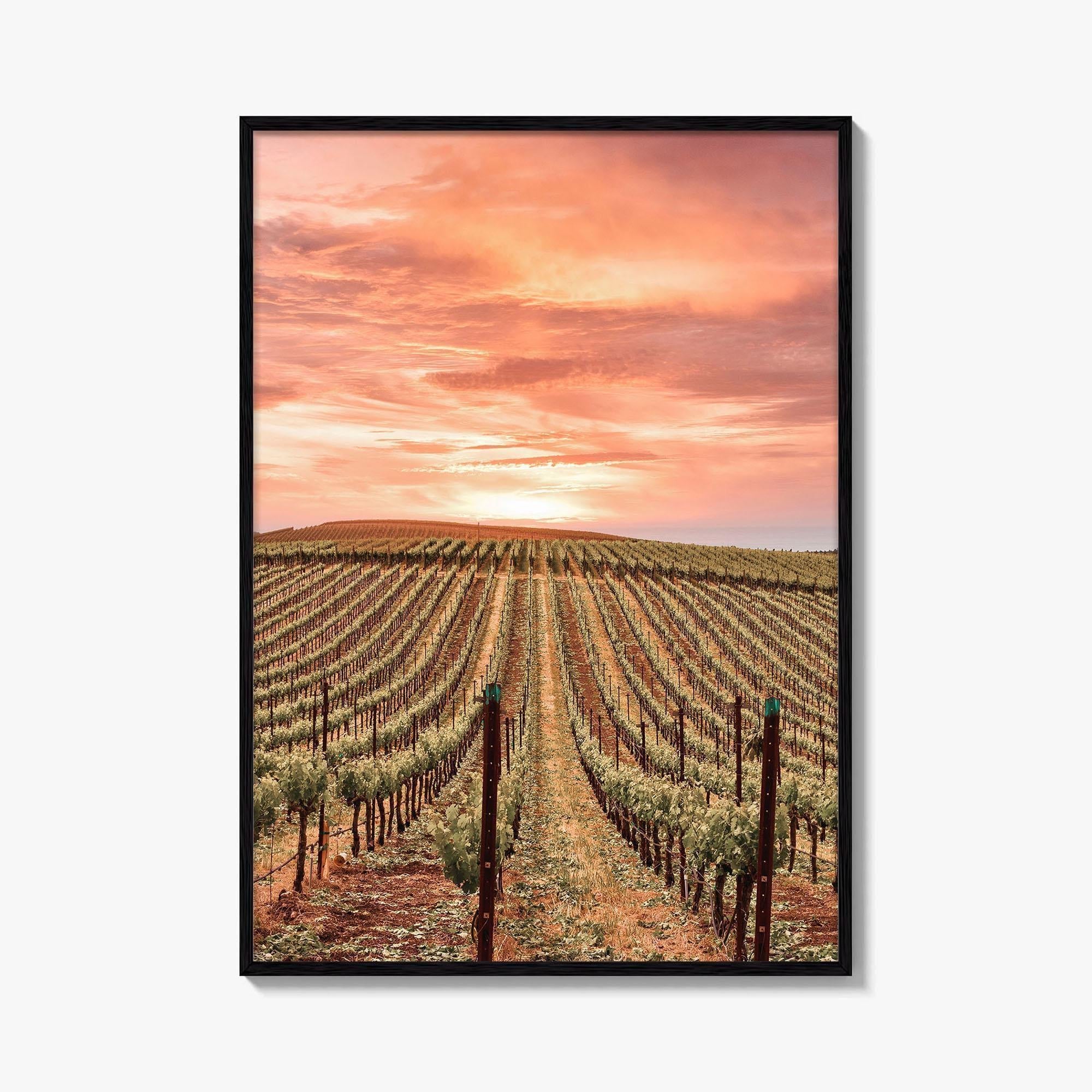 Sonoma Fine Art Photo Print, Napa Valley Wine Country, California Poster, Hot Air Balloon
