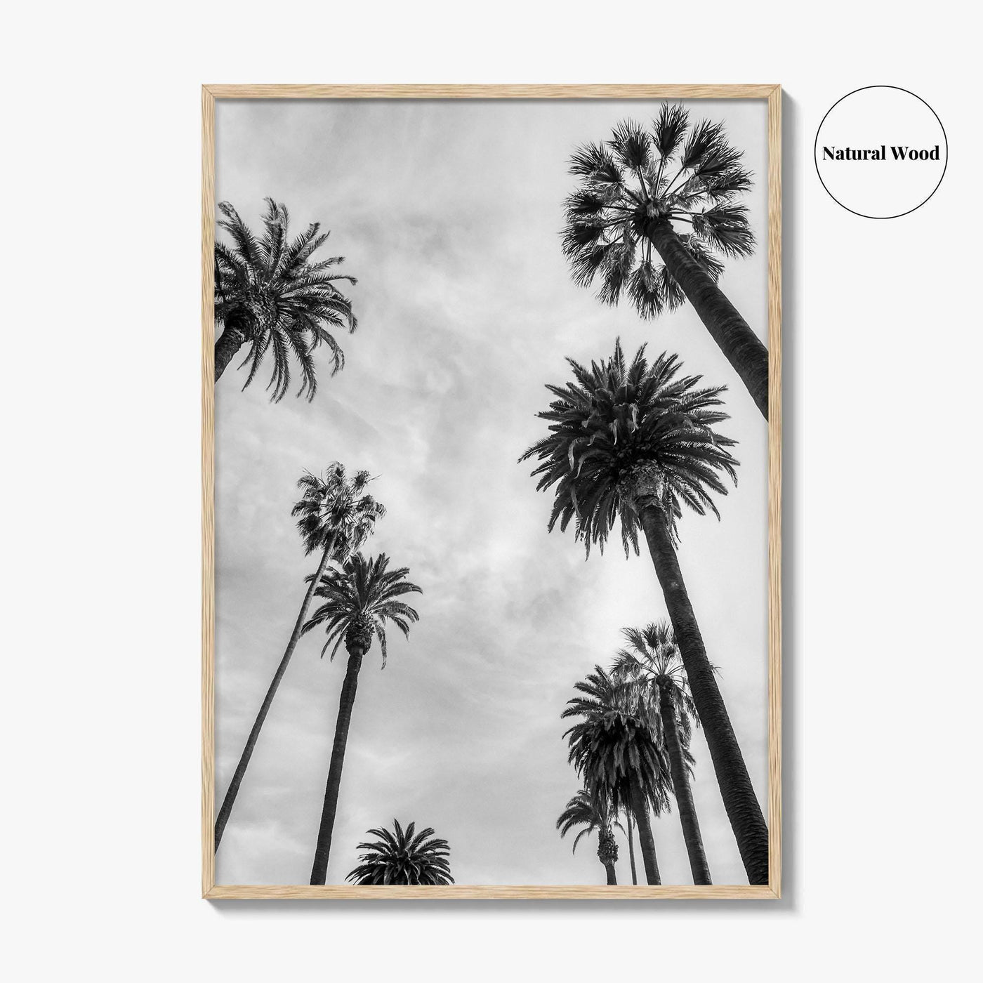 California Black and White Fine Art Photo Print, Los Angeles Palm Trees Poster