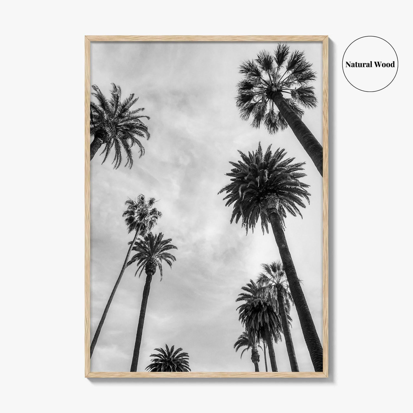 California Black and White Fine Art Photo Print, Los Angeles Palm Trees Poster
