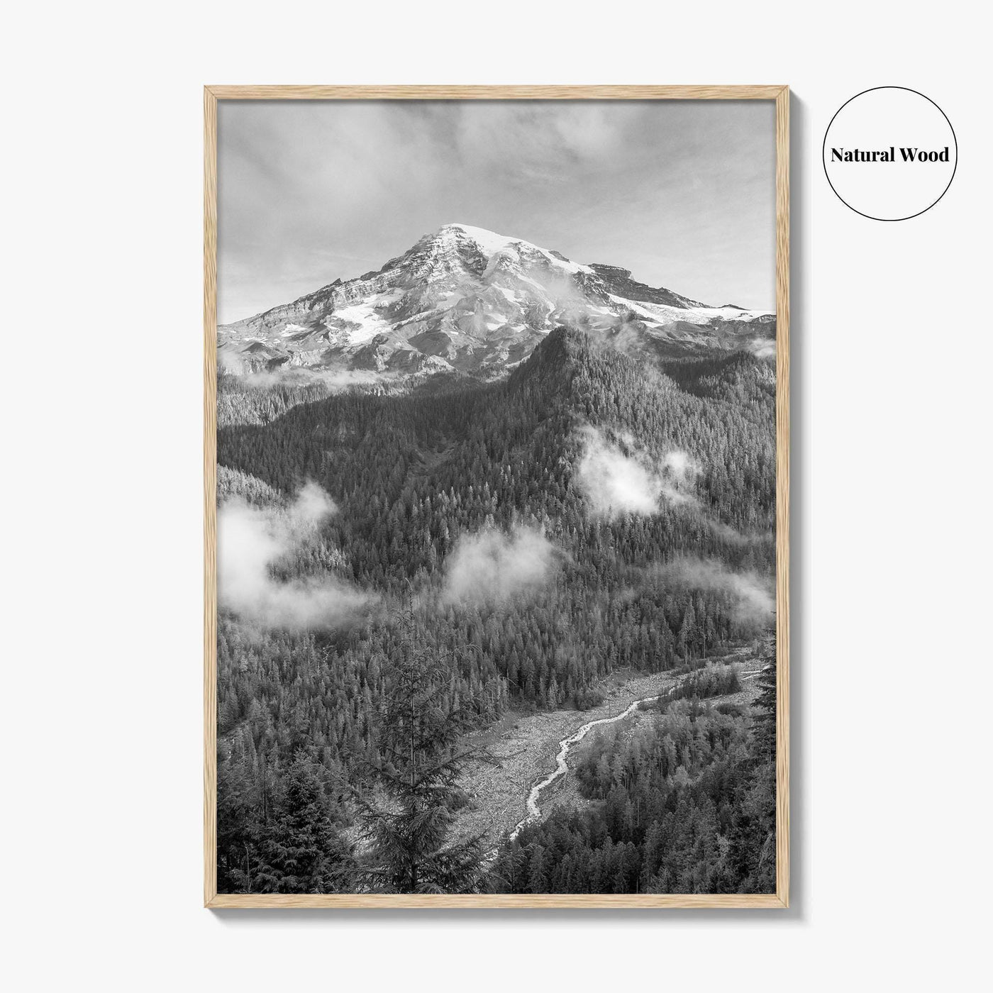 Mount Rainier Black and White Fine Art Photo Print, Washington USA, Nisqually River Poster