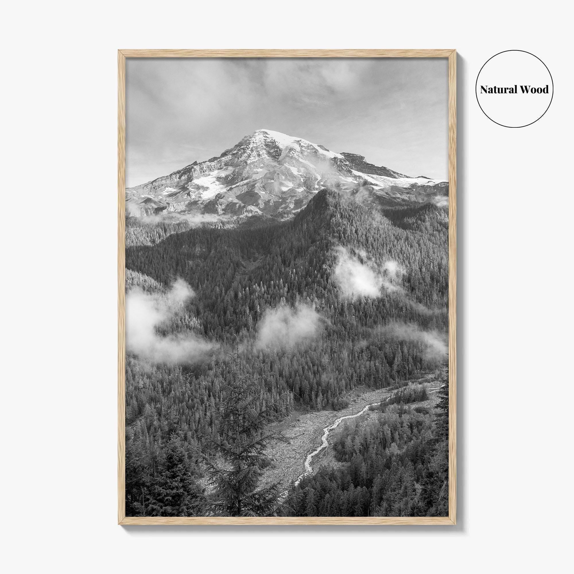Mount Rainier Black and White Fine Art Photo Print, Washington USA, Nisqually River Poster
