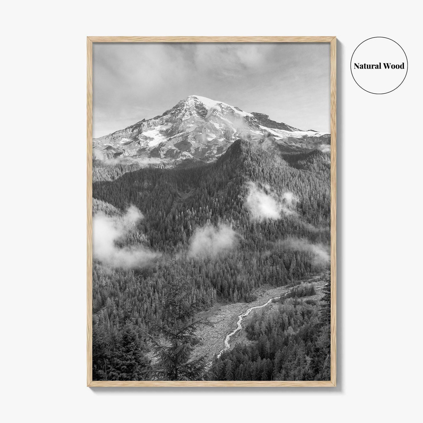 Mount Rainier Black and White Fine Art Photo Print, Washington USA, Nisqually River Poster