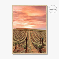 Sonoma Fine Art Photo Print, Napa Valley Wine Country, California Poster, Hot Air Balloon