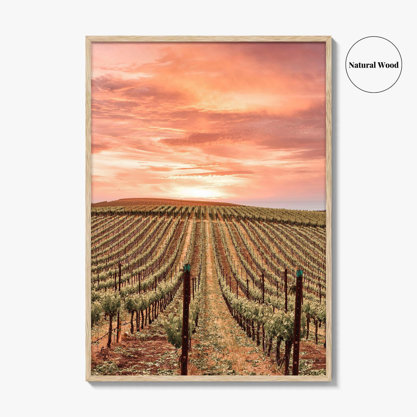 Sonoma Fine Art Photo Print, Napa Valley Wine Country, California Poster, Hot Air Balloon