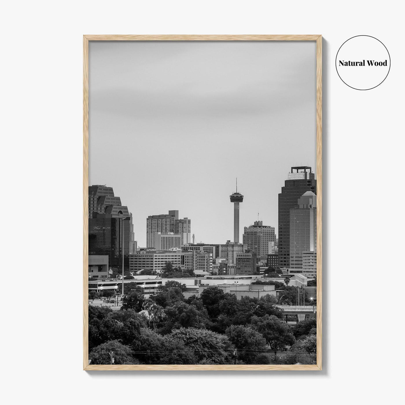 San Antonio Skyline Black and White Fine Art Photo Print, Texas, USA Wall Poster
