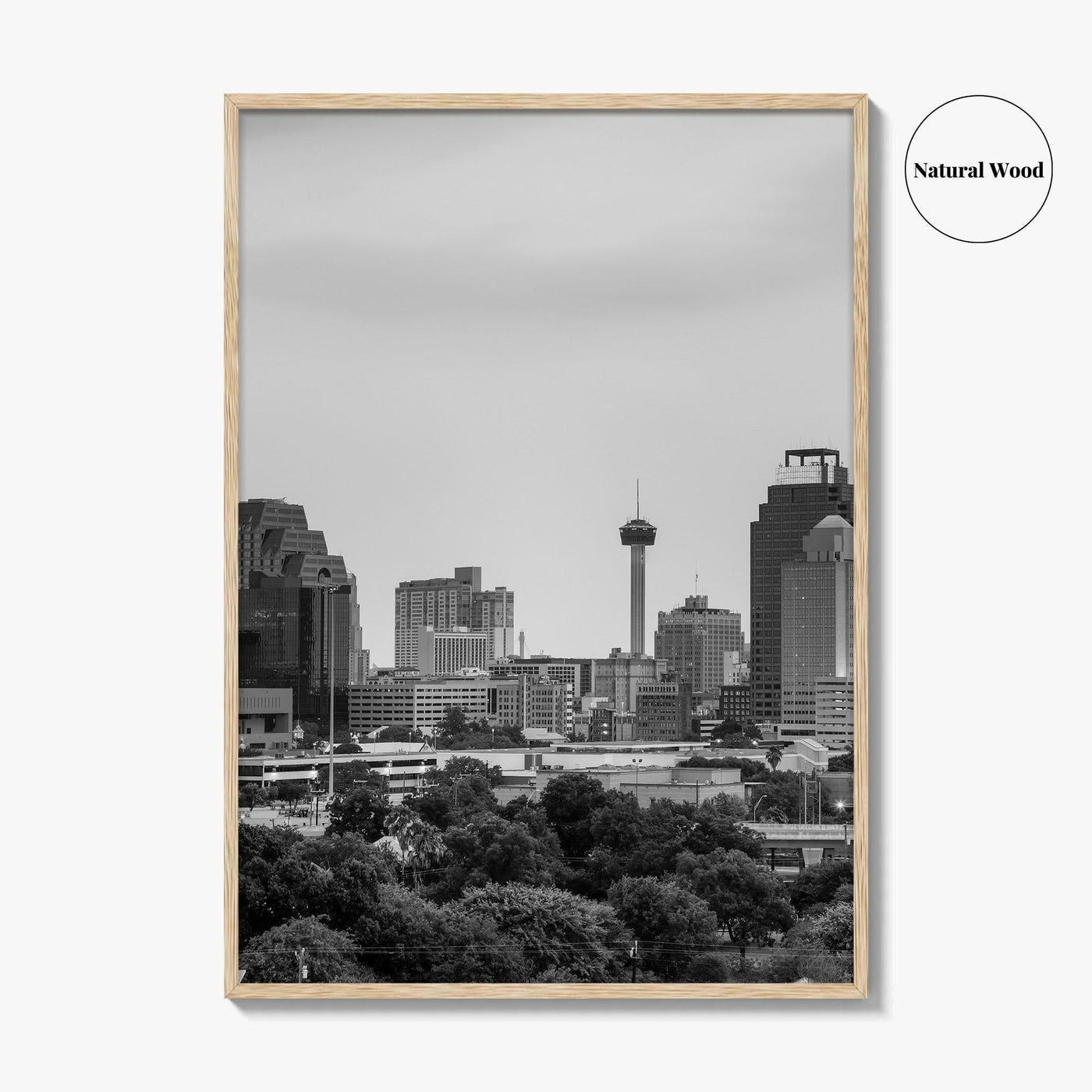 San Antonio Skyline Black and White Fine Art Photo Print, Texas, USA Wall Poster