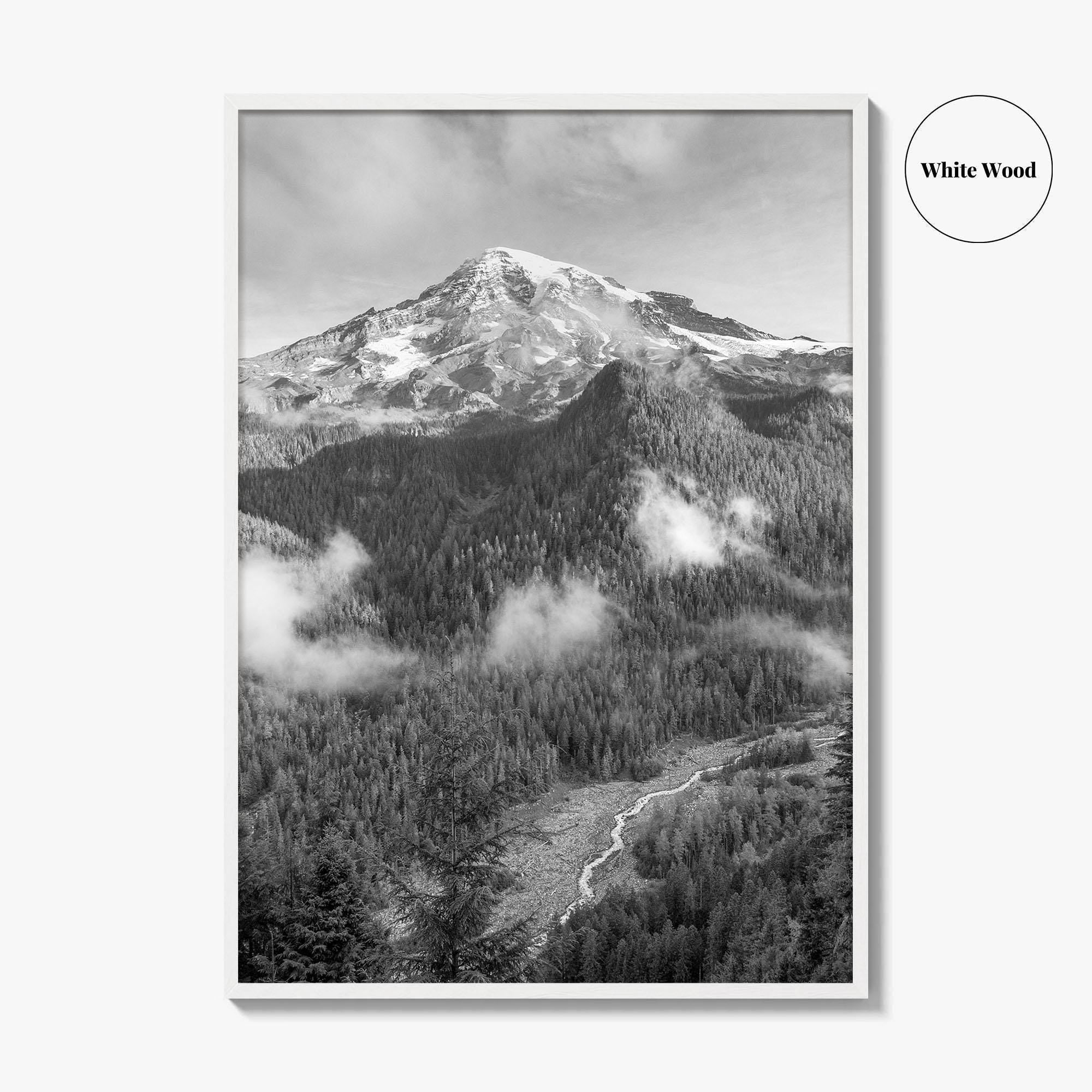 Mount Rainier Black and White Fine Art Photo Print, Washington USA, Nisqually River Poster