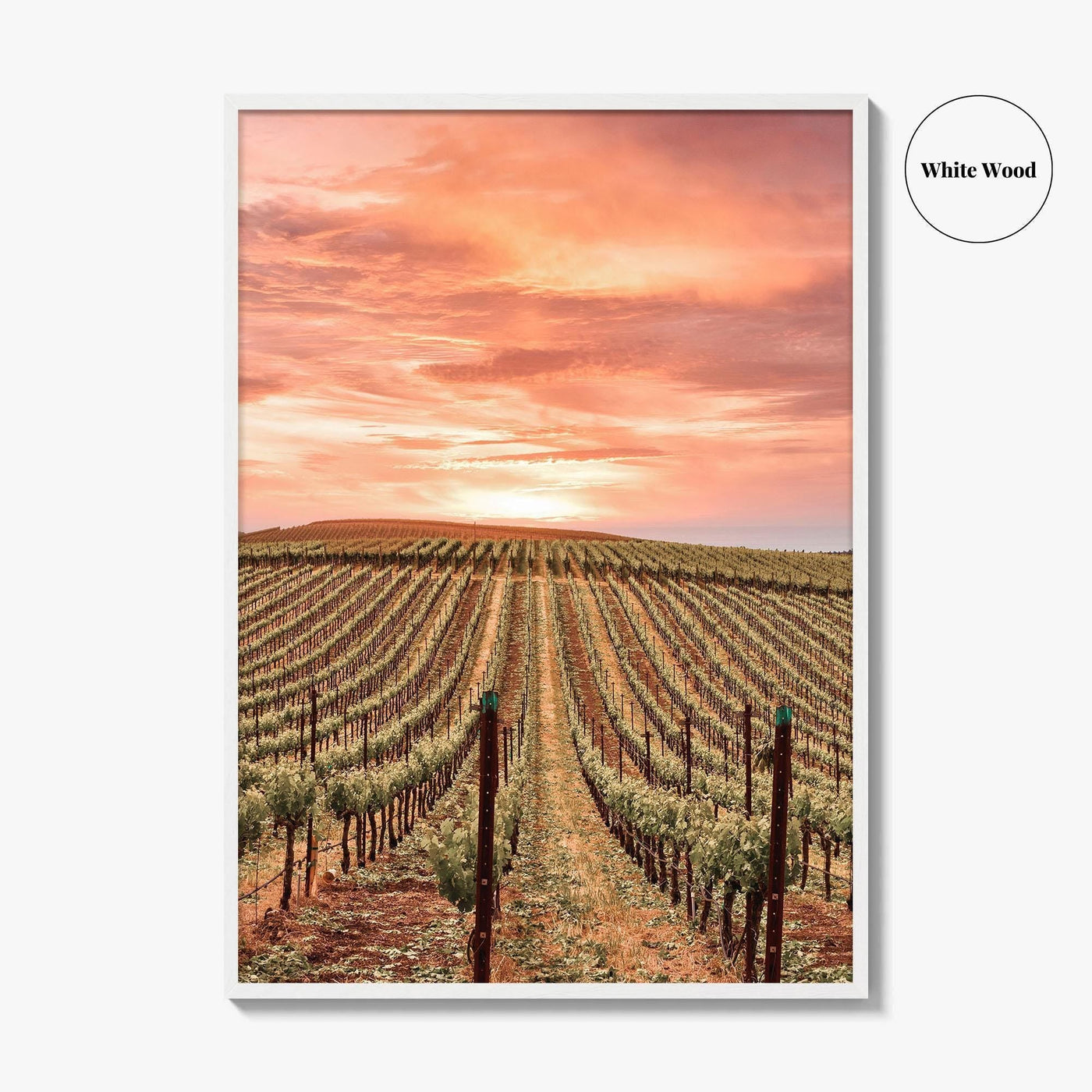 Sonoma Fine Art Photo Print, Napa Valley Wine Country, California Poster, Hot Air Balloon