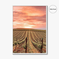 Sonoma Fine Art Photo Print, Napa Valley Wine Country, California Poster, Hot Air Balloon
