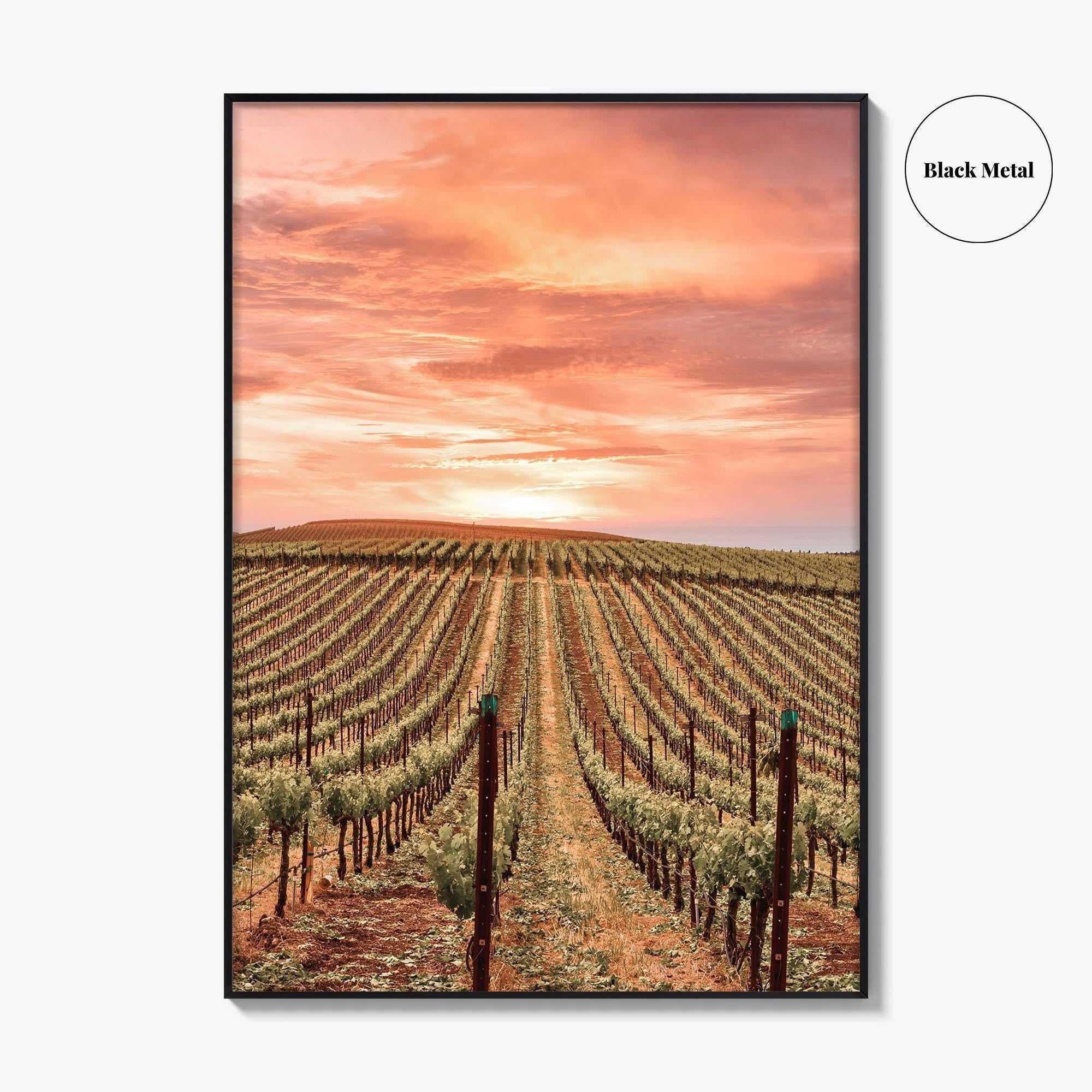 Sonoma Fine Art Photo Print, Napa Valley Wine Country, California Poster, Hot Air Balloon