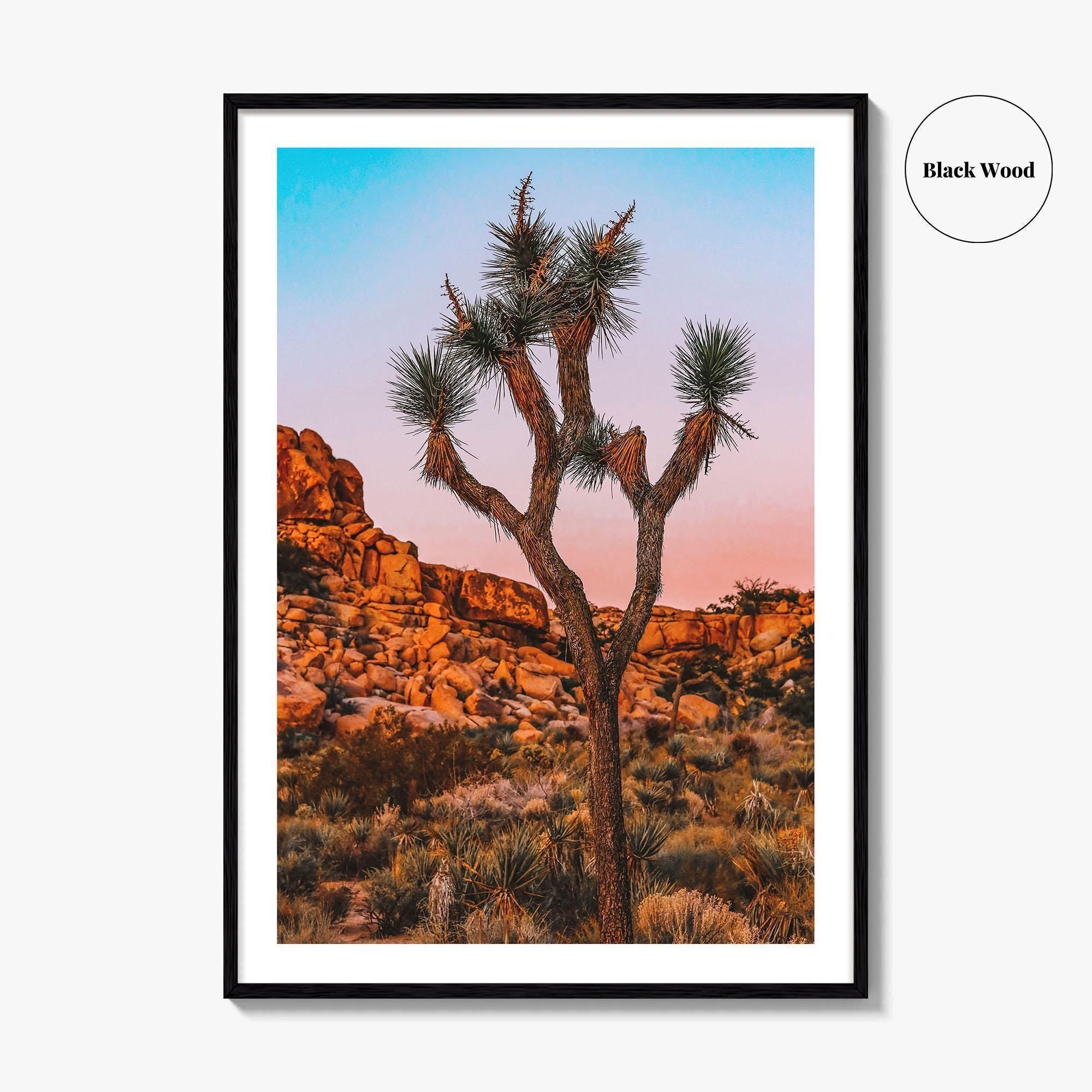 Joshua Tree National Park Blue Fine Art Photo Print, California Wall Decor Poster, USA