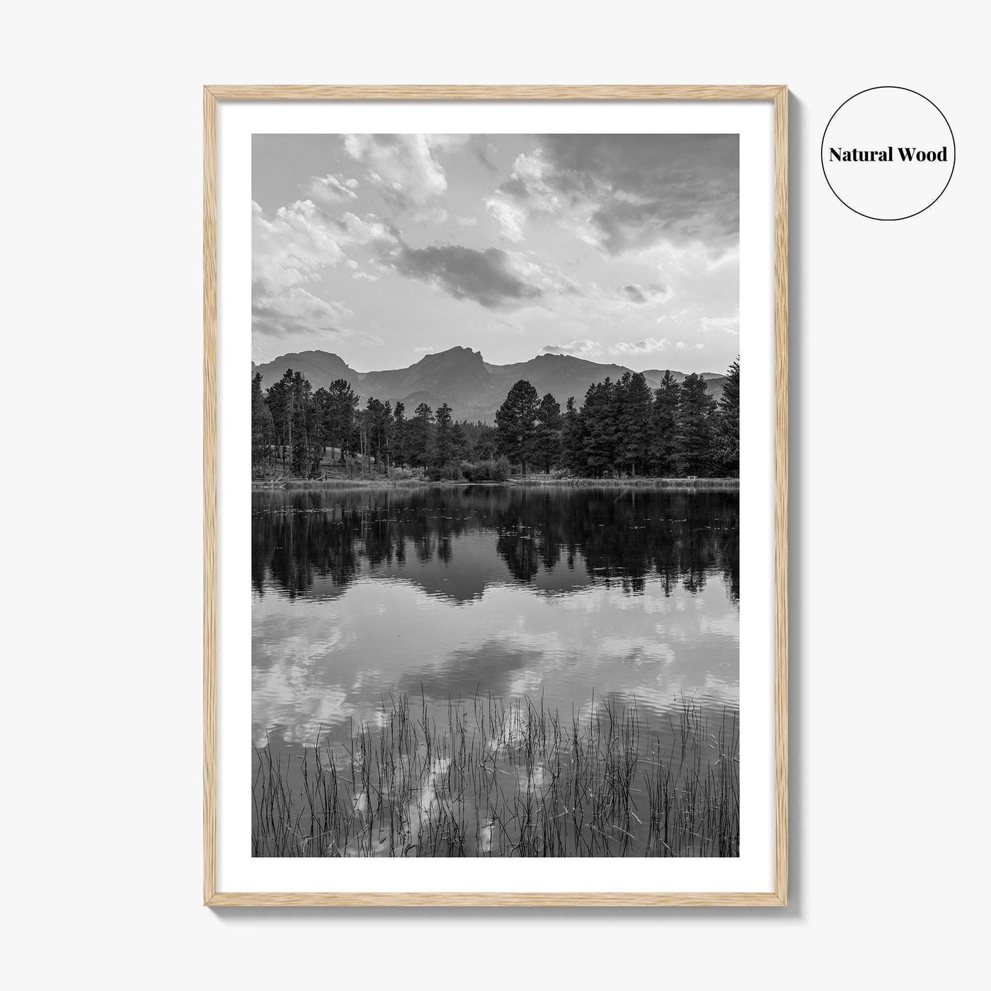 Rocky Mountain Black and White Fine Art Photo Print, Sprague Lake Colorado Poster
