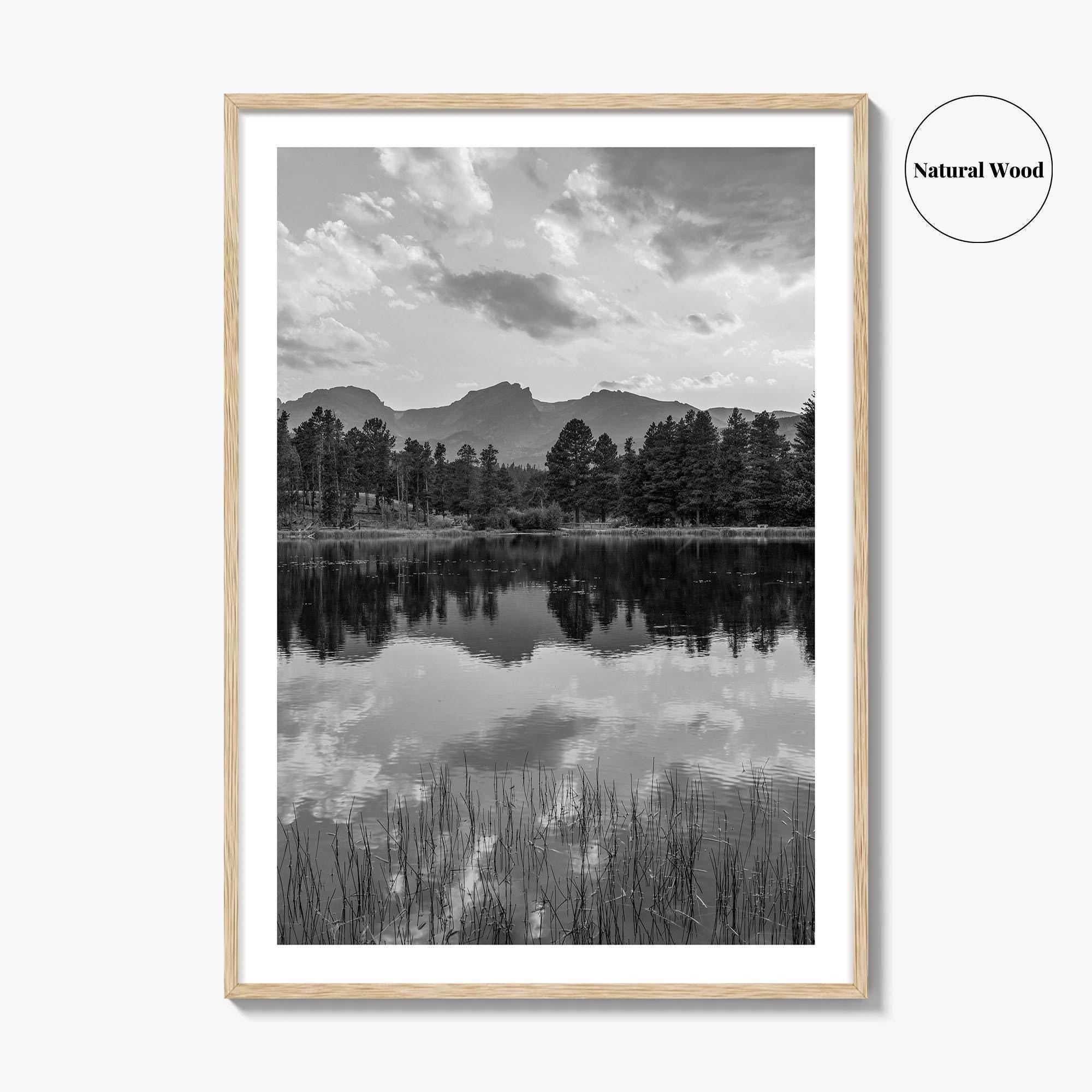 Rocky Mountain Black and White Fine Art Photo Print, Sprague Lake Colorado Poster
