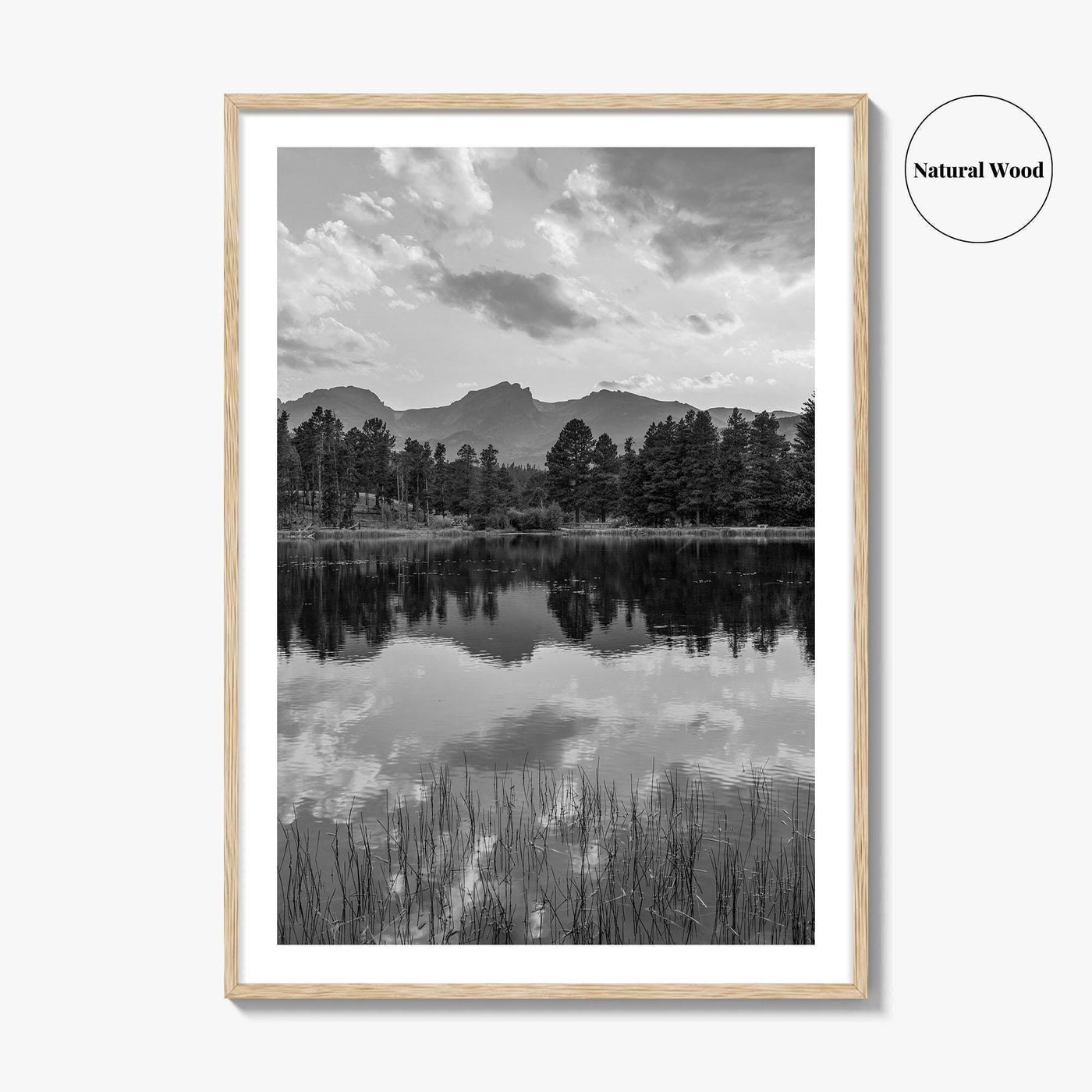 Rocky Mountain Black and White Fine Art Photo Print, Sprague Lake Colorado Poster