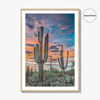 Saguaro National Park Fine Art Photo Print, Tucson Arizona USA, Wall Poster
