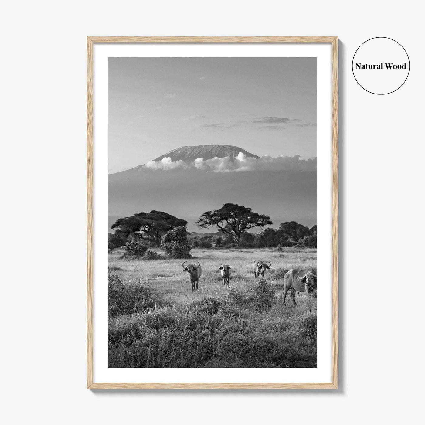 Mount Kilimanjaro Black and White Fine Art Photo Print, Amboseli, Kenya, Tanzania, Poster