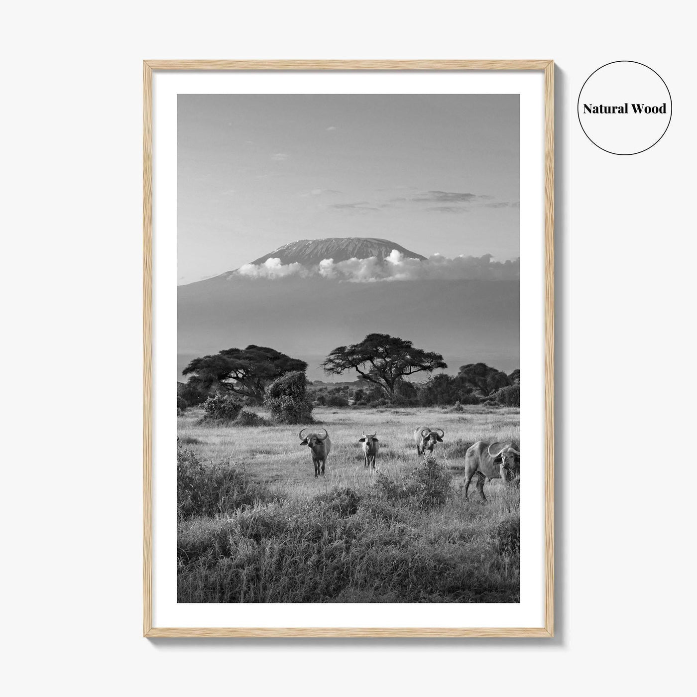 Mount Kilimanjaro Black and White Fine Art Photo Print, Amboseli, Kenya, Tanzania, Poster