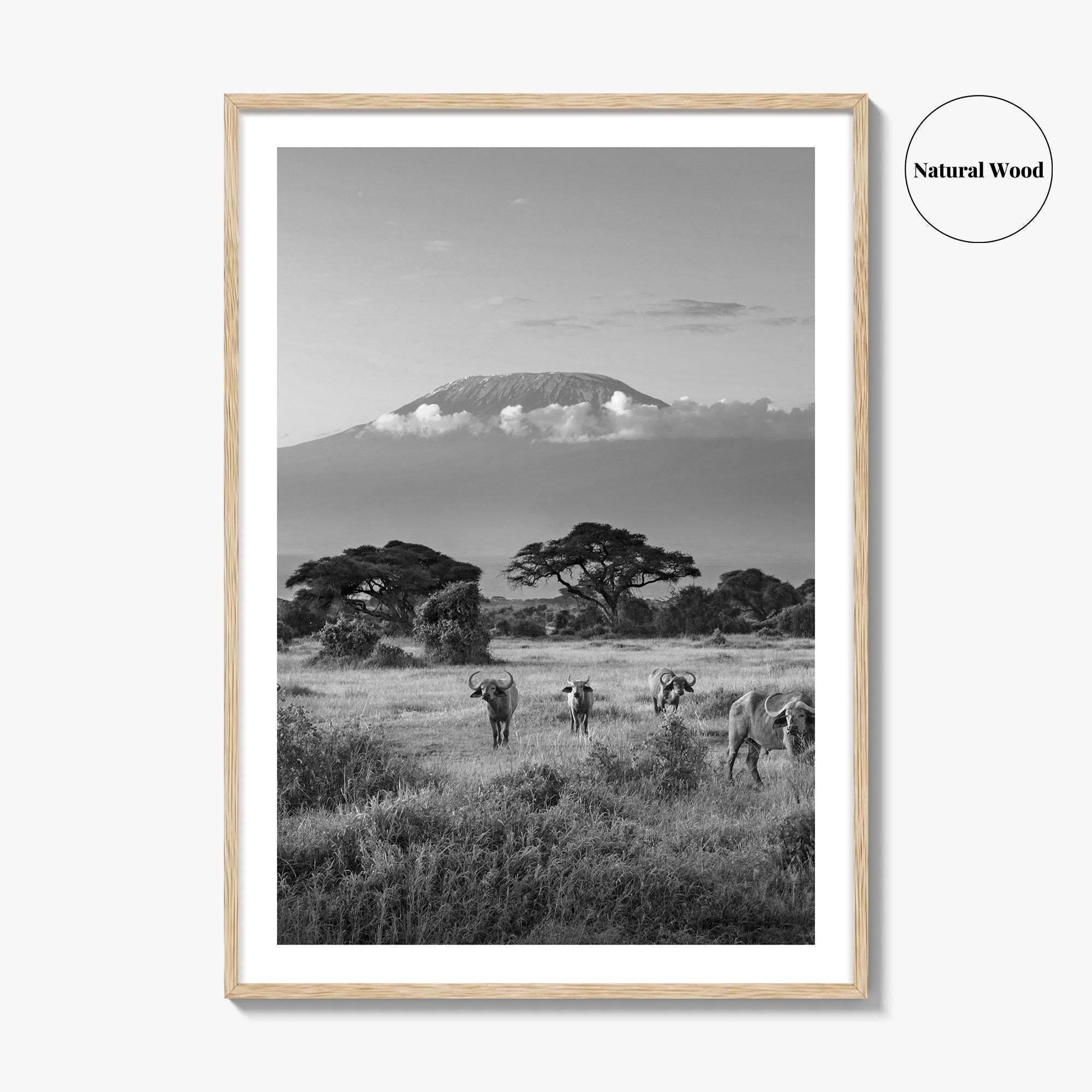 Mount Kilimanjaro Black and White Fine Art Photo Print, Amboseli, Kenya, Tanzania, Poster