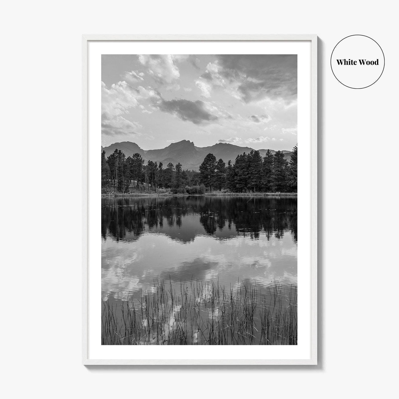 Rocky Mountain Black and White Fine Art Photo Print, Sprague Lake Colorado Poster