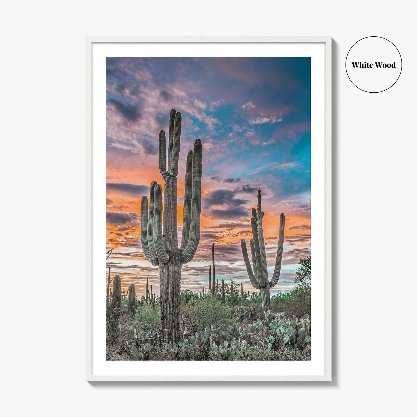 Saguaro National Park Fine Art Photo Print, Tucson Arizona USA, Wall Poster