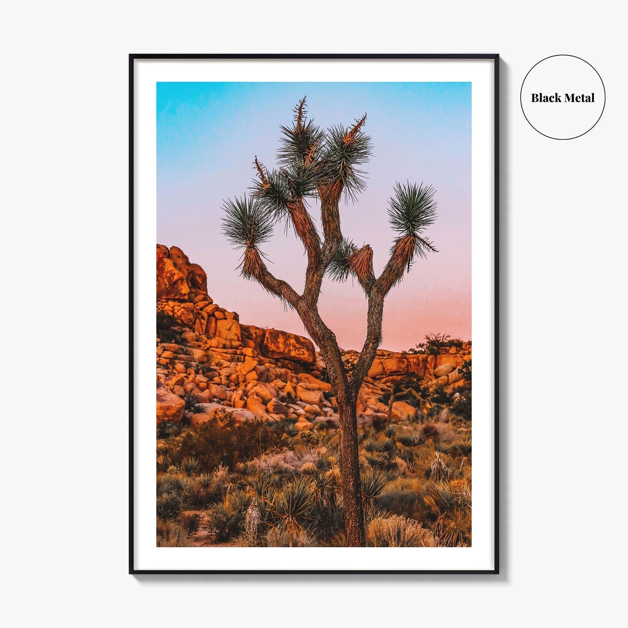 Joshua Tree National Park Blue Fine Art Photo Print, California Wall Decor Poster, USA