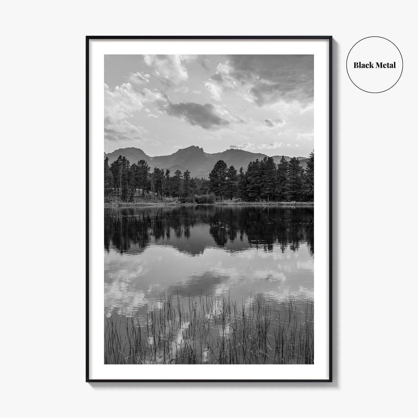 Rocky Mountain Black and White Fine Art Photo Print, Sprague Lake Colorado Poster