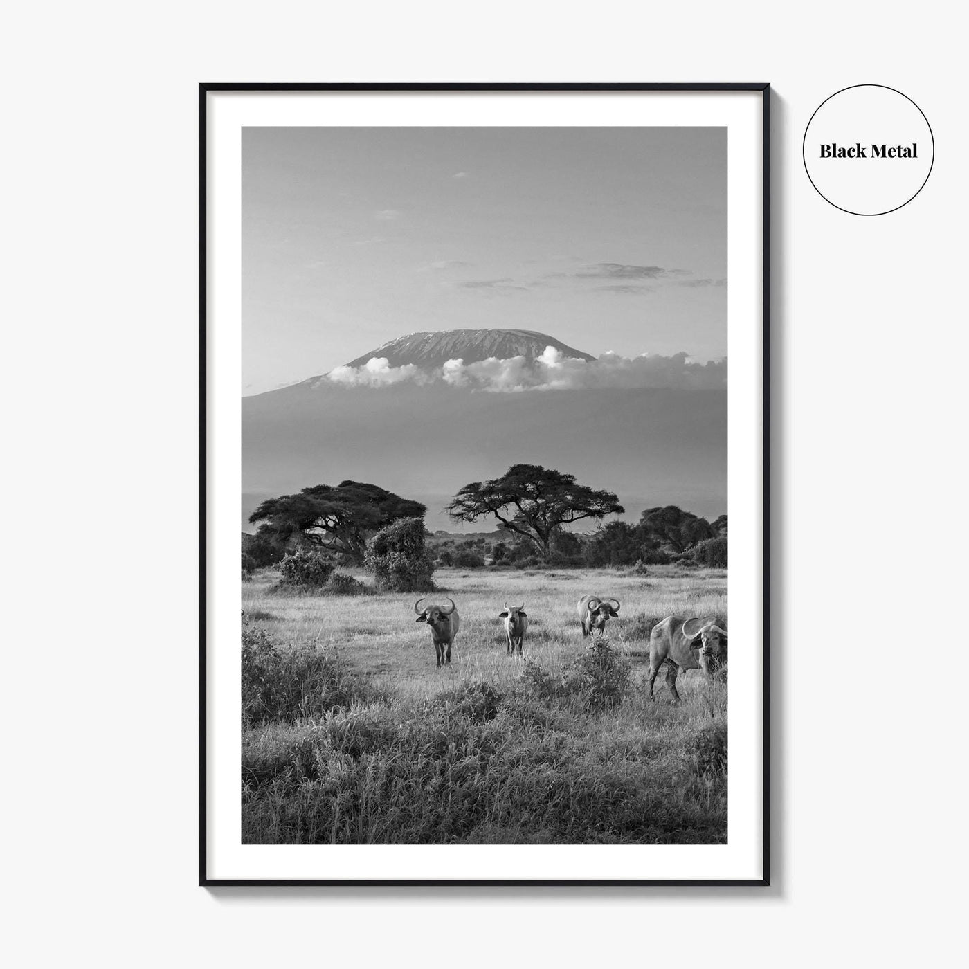 Mount Kilimanjaro Black and White Fine Art Photo Print, Amboseli, Kenya, Tanzania, Poster