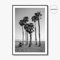 Santa Monica Black and White Fine Art Photo Print, California Palm Trees Poster