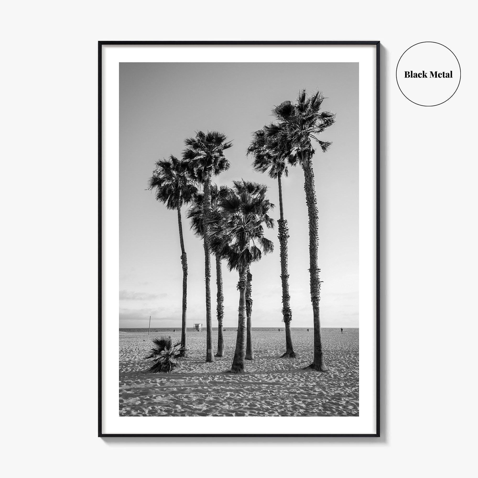 Santa Monica Black and White Fine Art Photo Print, California Palm Trees Poster