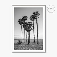 Santa Monica Black and White Fine Art Photo Print, California Palm Trees Poster
