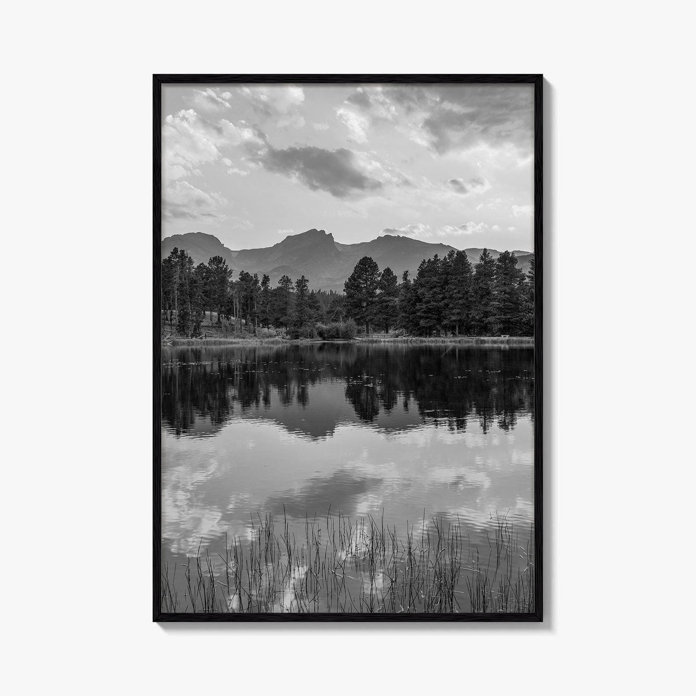 Rocky Mountain Black and White Fine Art Photo Print, Sprague Lake Colorado Poster