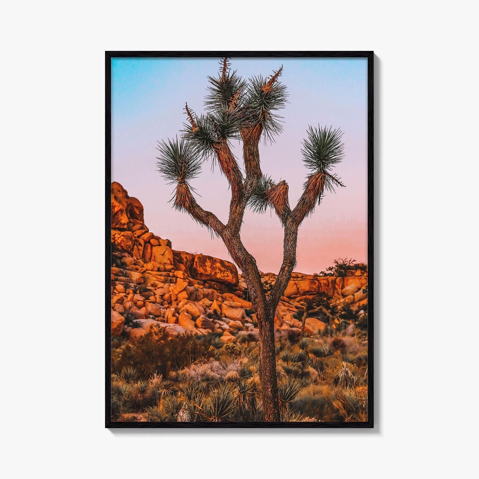 Joshua Tree National Park Blue Fine Art Photo Print, California Wall Decor Poster, USA
